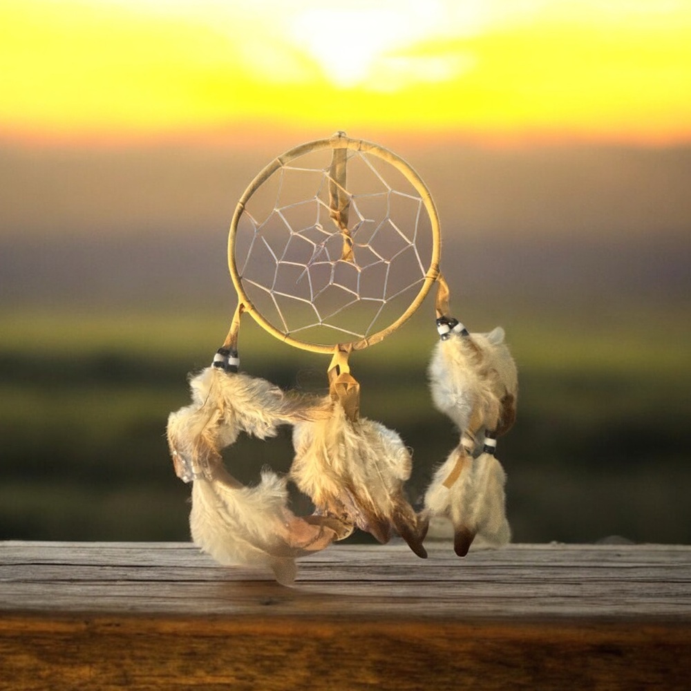 Dream Catcher Brown copper feathers Gift Idea Native Americans Tribal hippie NEW